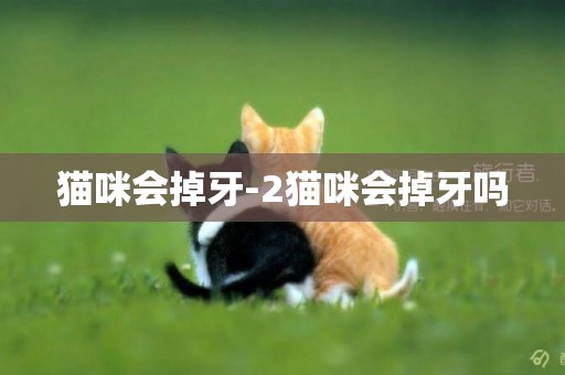 貓咪會掉牙-2貓咪會掉牙嗎