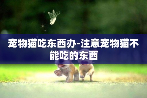 寵物貓吃東西辦-注意寵物貓不能吃的東西