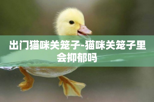 出門貓咪關籠子-貓咪關籠子里會抑郁嗎