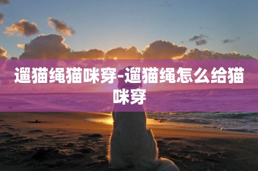 遛貓繩貓咪穿-遛貓繩怎么給貓咪穿