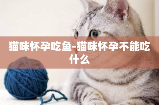 貓咪懷孕吃魚-貓咪懷孕不能吃什么