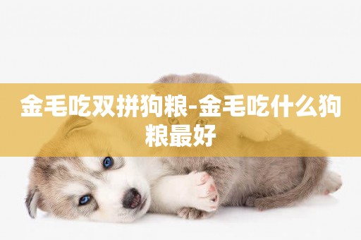 金毛吃雙拼狗糧-金毛吃什么狗糧最好