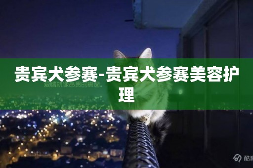貴賓犬參賽-貴賓犬參賽美容護理