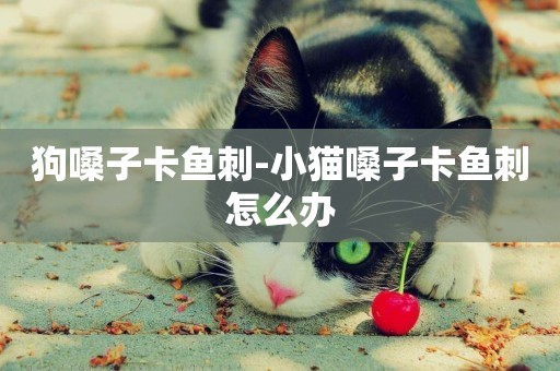 狗嗓子卡魚刺-小貓嗓子卡魚刺怎么辦