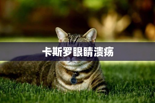 卡斯羅眼睛潰瘍