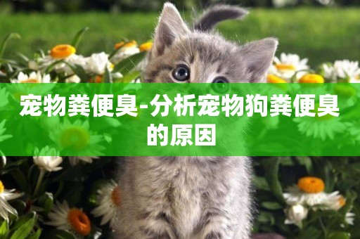 寵物糞便臭-分析寵物狗糞便臭的原因