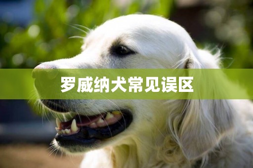 羅威納犬常見誤區