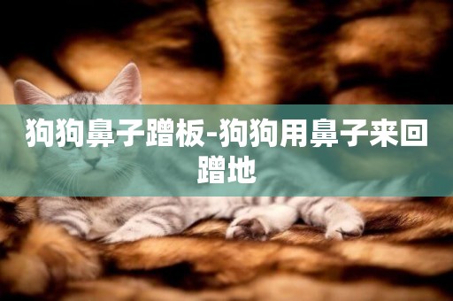 狗狗鼻子蹭板-狗狗用鼻子來回蹭地