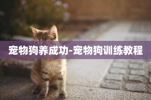 寵物狗養成功-寵物狗訓練教程