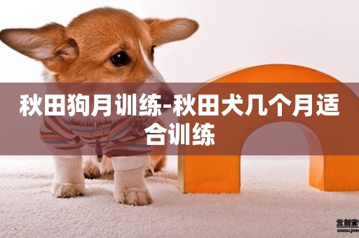秋田狗月訓練-秋田犬幾個月適合訓練