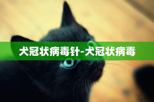 犬冠狀病毒針-犬冠狀病毒