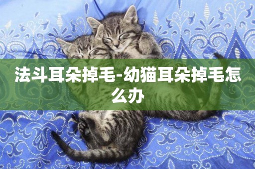 法斗耳朵掉毛-幼貓耳朵掉毛怎么辦