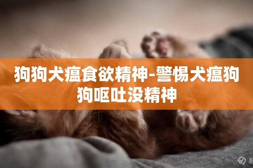 狗狗犬瘟食欲精神-警惕犬瘟狗狗嘔吐沒精神