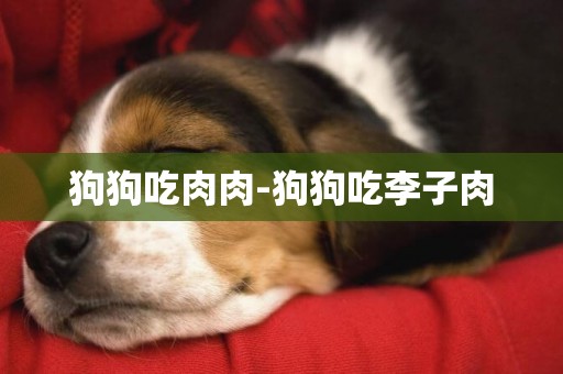 狗狗吃肉肉-狗狗吃李子肉