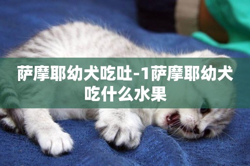 薩摩耶幼犬吃吐-1薩摩耶幼犬吃什么水果
