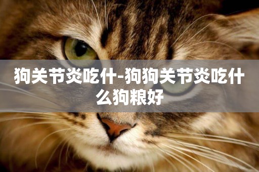 狗關節炎吃什-狗狗關節炎吃什么狗糧好
