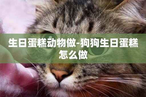 生日蛋糕動物做-狗狗生日蛋糕怎么做