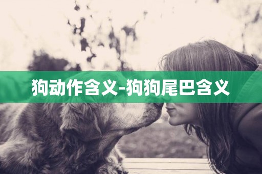 狗動作含義-狗狗尾巴含義