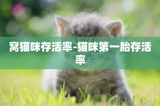 窩貓咪存活率-貓咪第一胎存活率
