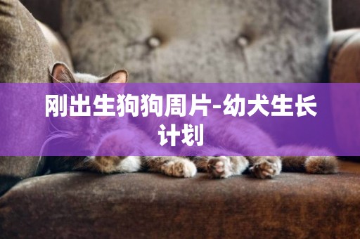 剛出生狗狗周片-幼犬生長計劃