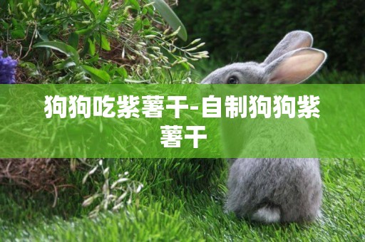 狗狗吃紫薯干-自制狗狗紫薯干
