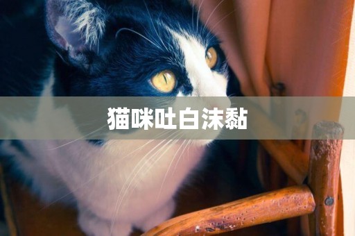 貓咪吐白沫黏