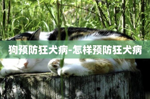 狗預防狂犬病-怎樣預防狂犬病