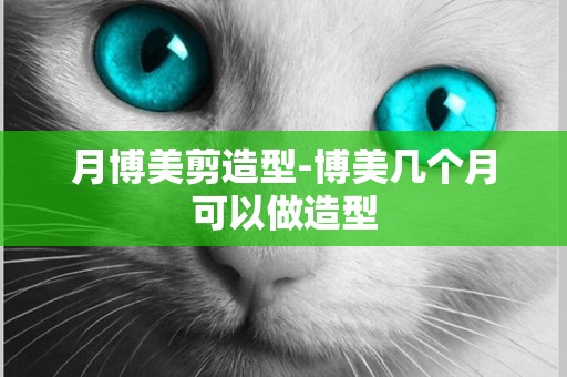 月博美剪造型-博美幾個月可以做造型
