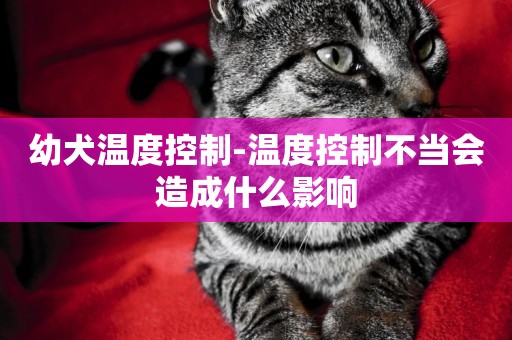 幼犬溫度控制-溫度控制不當會造成什么影響