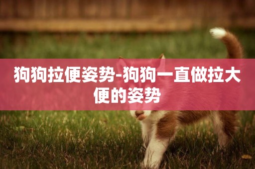 狗狗拉便姿勢-狗狗一直做拉大便的姿勢