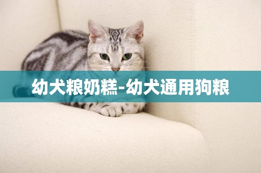 幼犬糧奶糕-幼犬通用狗糧