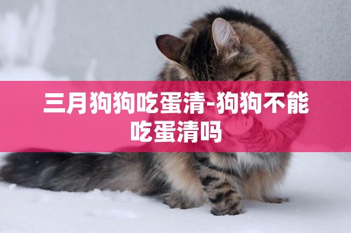 三月狗狗吃蛋清-狗狗不能吃蛋清嗎