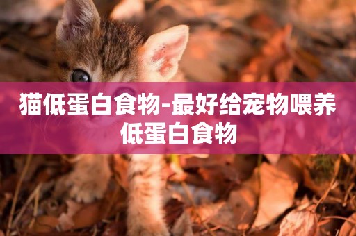 貓低蛋白食物-最好給寵物喂養低蛋白食物