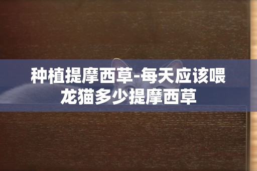 種植提摩西草-每天應該喂龍貓多少提摩西草