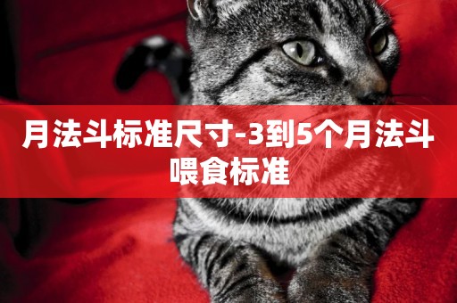 月法斗標準尺寸-3到5個月法斗喂食標準