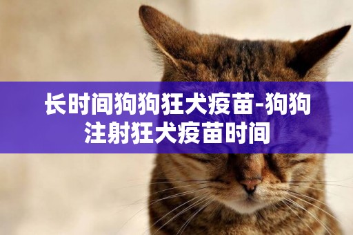 長時間狗狗狂犬疫苗-狗狗注射狂犬疫苗時間