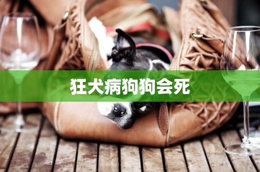 狂犬病狗狗會死