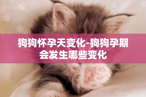 狗狗懷孕天變化-狗狗孕期會發生哪些變化