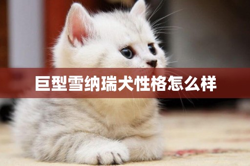 巨型雪納瑞犬性格怎么樣