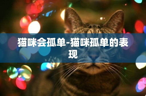 貓咪會孤單-貓咪孤單的表現