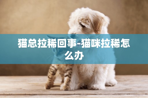貓總拉稀回事-貓咪拉稀怎么辦