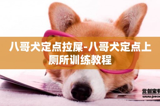 八哥犬定點拉屎-八哥犬定點上廁所訓練教程