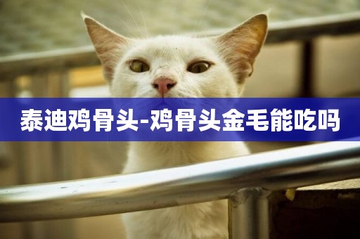 泰迪雞骨頭-雞骨頭金毛能吃嗎