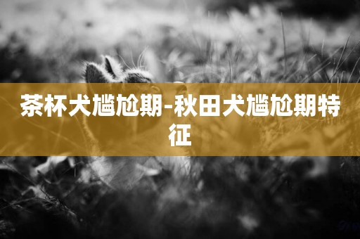 茶杯犬尷尬期-秋田犬尷尬期特征