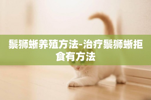鬃獅蜥養殖方法-治療鬃獅蜥拒食有方法