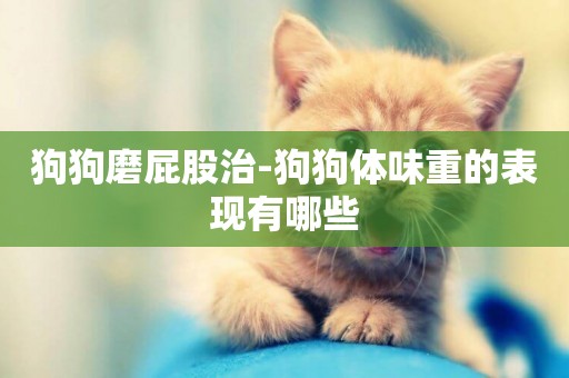 狗狗磨屁股治-狗狗體味重的表現有哪些