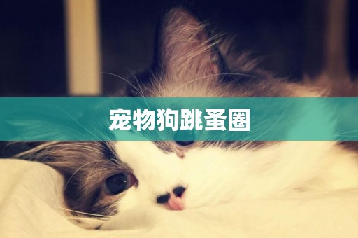 寵物狗跳蚤圈