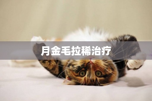 月金毛拉稀治療