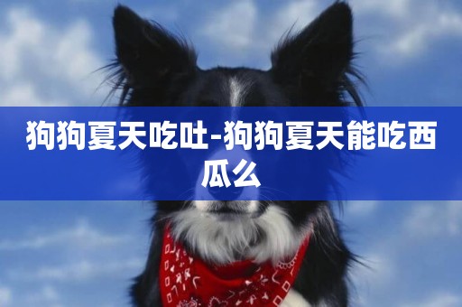狗狗夏天吃吐-狗狗夏天能吃西瓜么