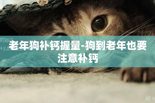 老年狗補鈣握量-狗到老年也要注意補鈣